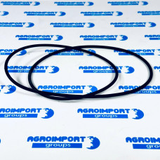 001.05.1119 Rubber sealing ring 253.59x3.53 mm Dana (001051119)